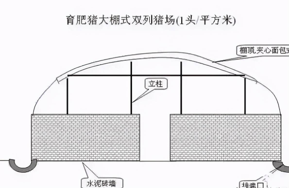 你知道农村小型养猪场该如何设计吗?_猪舍