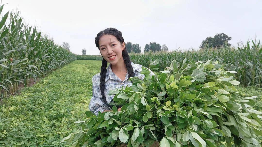 麦小登为照顾患病父亲离开城市回家种地逆袭成300万粉丝网红