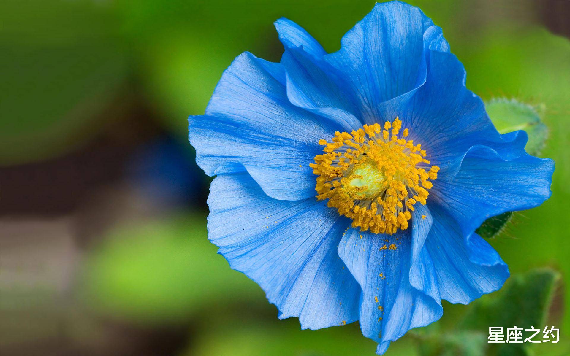 11月28日星座运势 拨开迷雾 稳中求胜的四大星座 生活