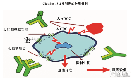 创胜集团通过聆讯,临床新药研发助力资本之路