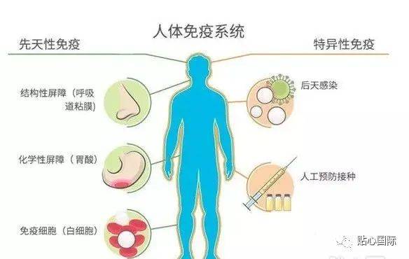 050a97962fb74081bc8368ab8a180724.jpeg
