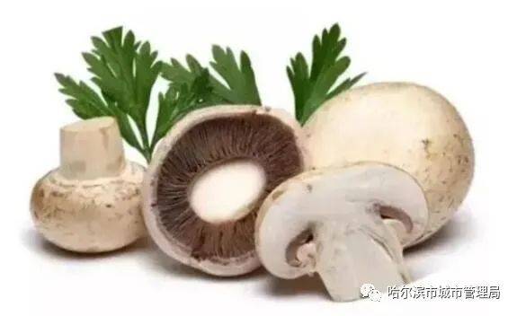 垃圾分类】发霉的蘑菇是什么垃圾？_搜狐网