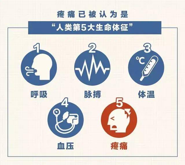 「未来医生」颈痛、腰痛还在忍?小心加重这种疾病
一 你还在“忍痛”吗?二 疼痛对身心都是“折磨”三 疼痛应被正确对待