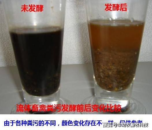 9c79ffe122404c629c31c16f825722da.jpeg