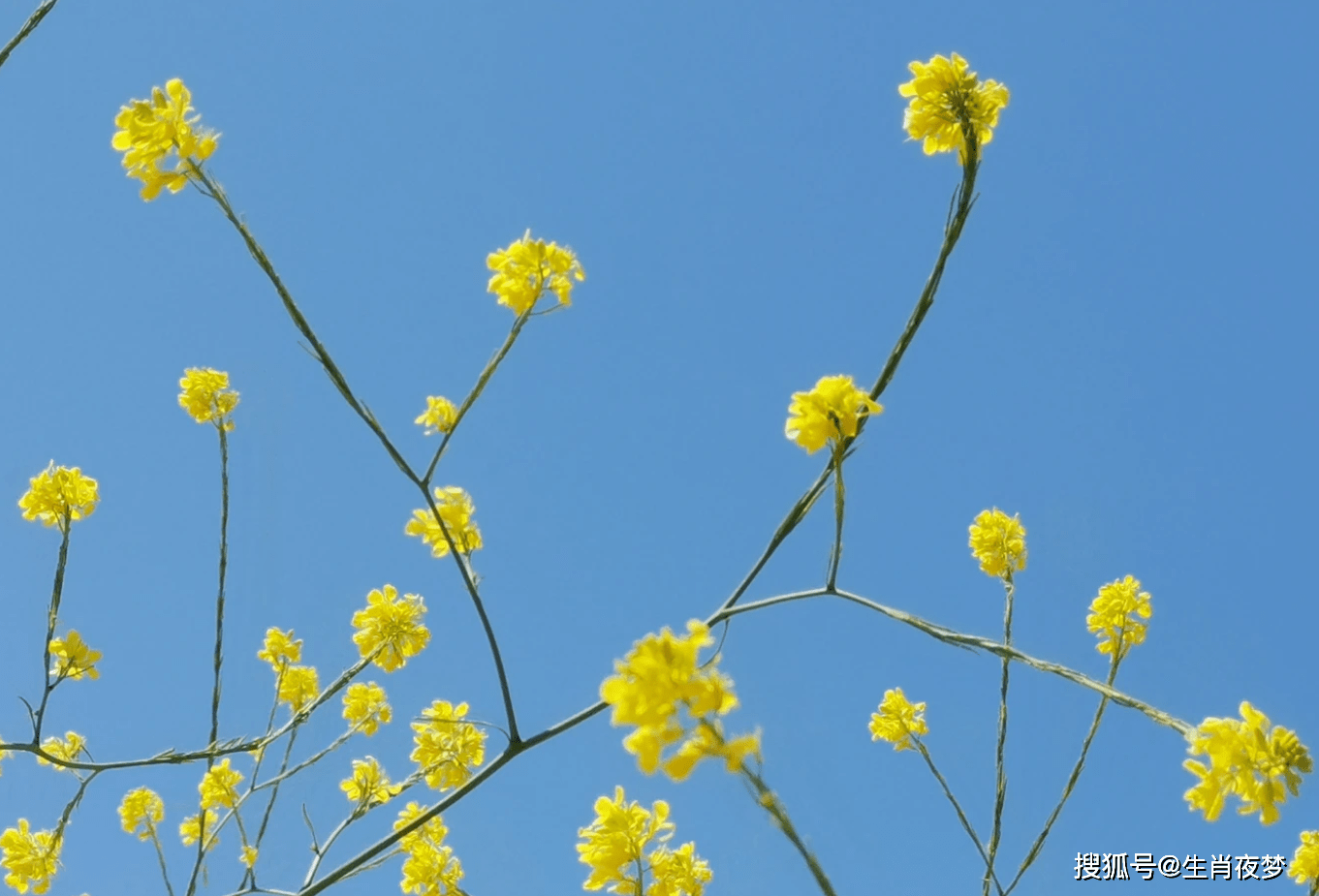 7月被低估被排挤也不怕才华横溢3生肖机遇一到绽放光芒
