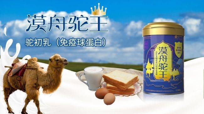新疆原生态驼奶多少钱一桶