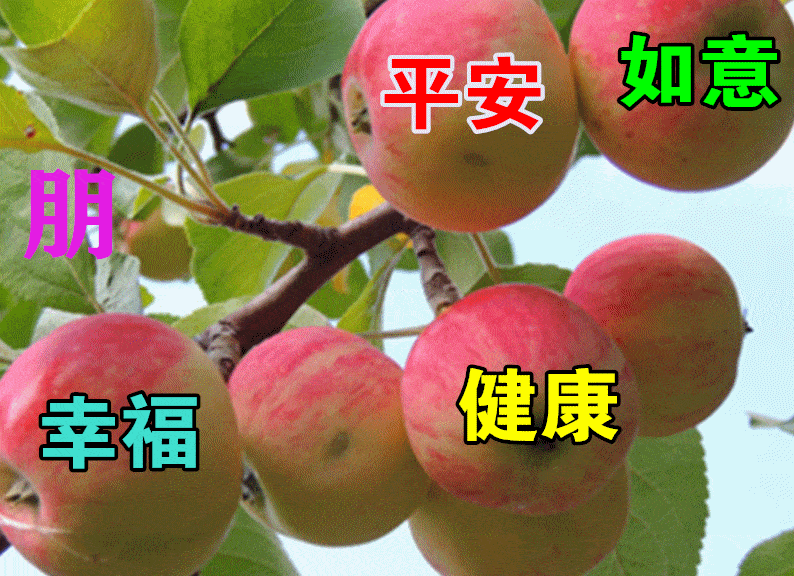 2021年最新创意好看的早上好水果图片 免打字聊天的早上好问候水果