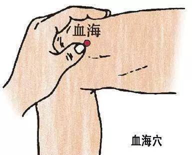 3c3cd3d63a374a3b9e2a65f158d414d4.jpeg