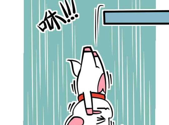 封存记忆代表什么 ffdc0a678cfb41cd988652a70bfe0137.jpeg