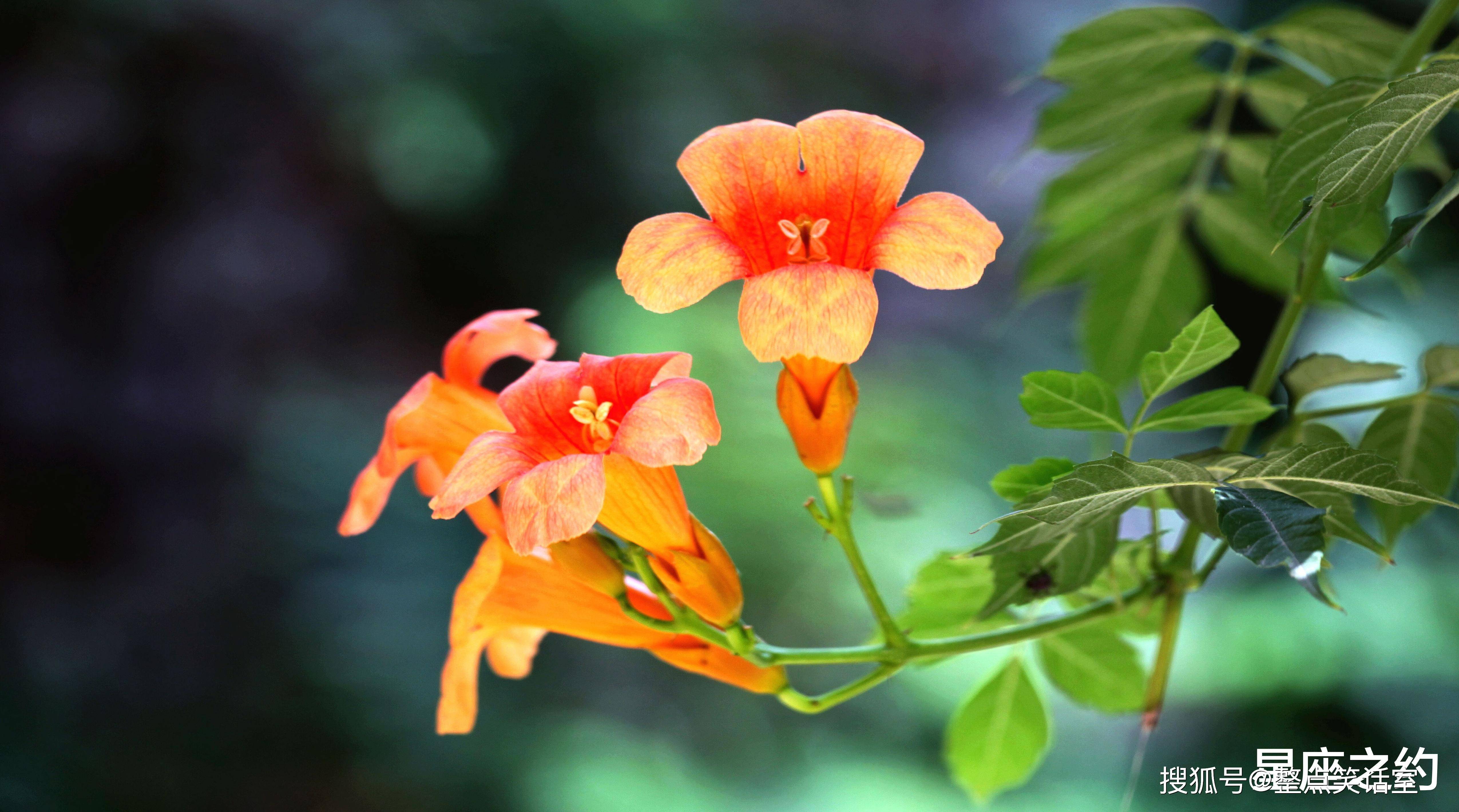 10月12日 18日星座運勢 白羊座義無反顧 射手座突破瓶頸 占星網
