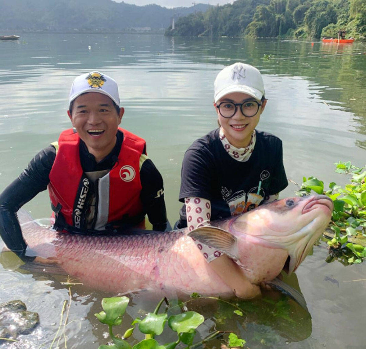 原创人怕出名鱼怕邓刚因为水库盘鱼塘老板的视频走红