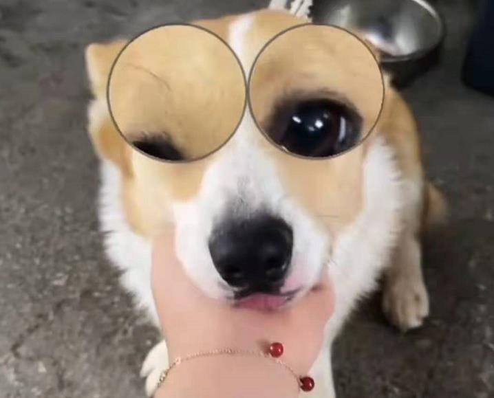 f6ff625194c044d6b6212c2913365a50.jpeg