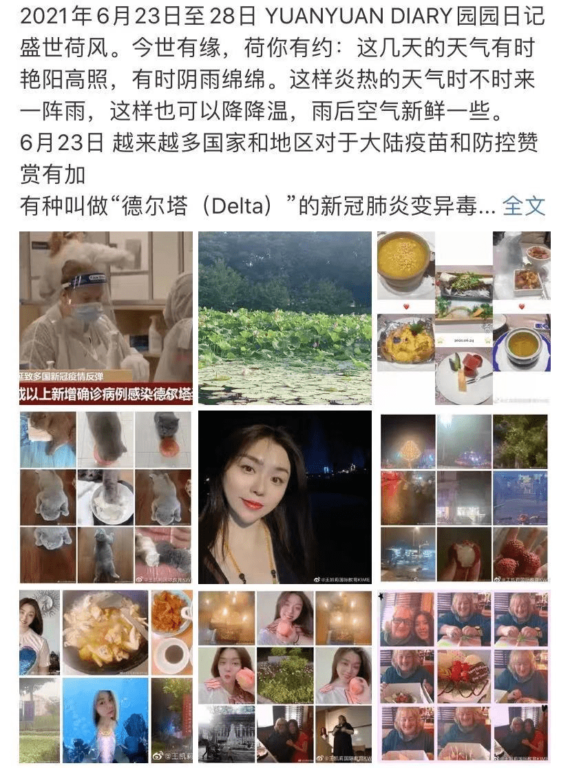 21年6月23日至24日园园日记 盛世荷风 今世有缘 荷你有约 Lucky