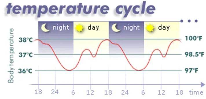 一日体温变化图图片