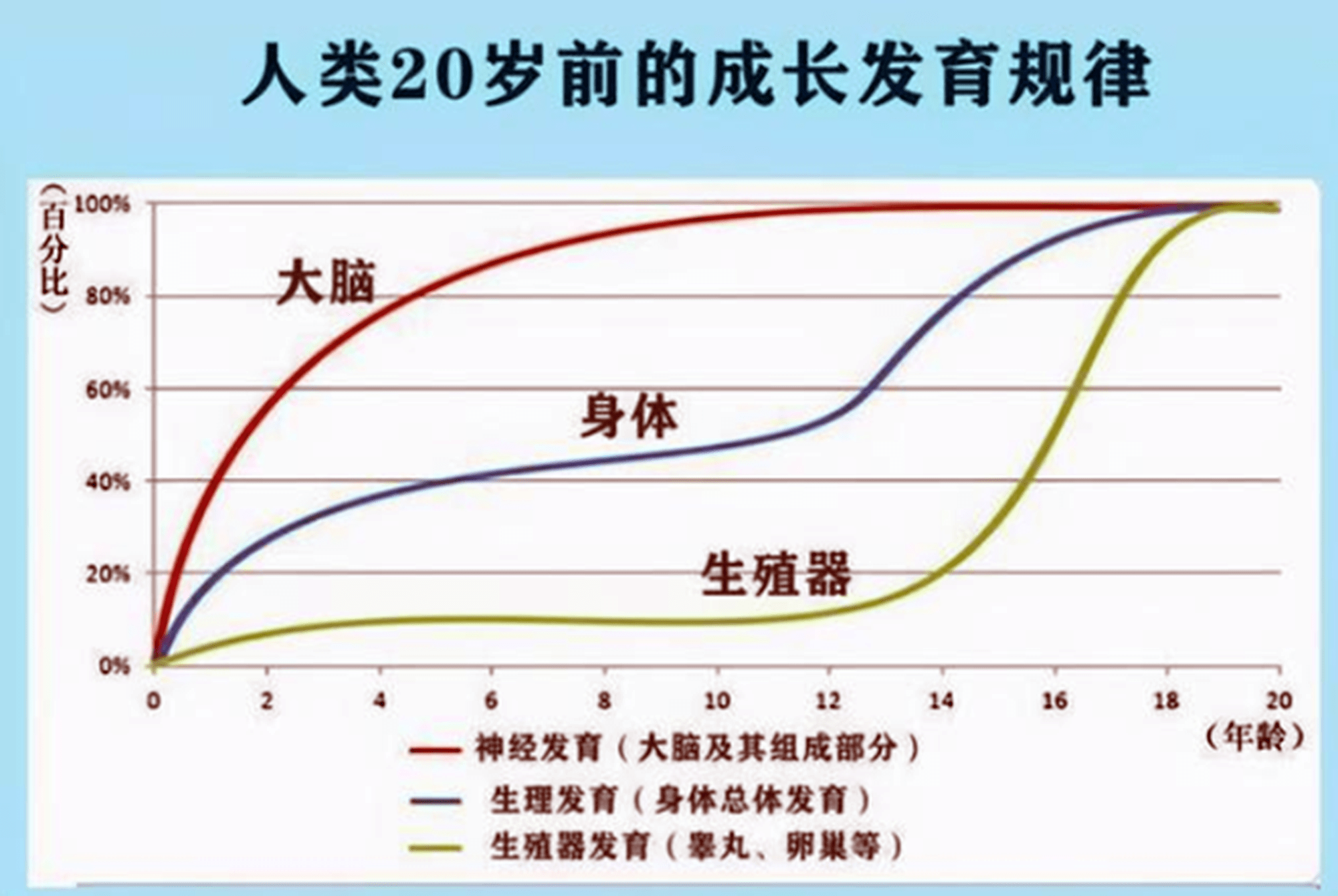 發育規律