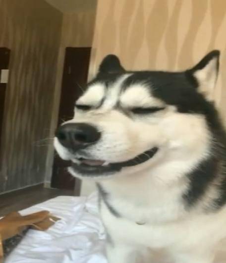 aa69c8e1a4e64ef4bc863afaae3e60ed.jpeg