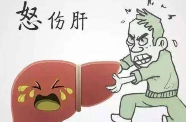 的作用|女性通病手脚冰凉、情绪不壕，还容易失眠，调理方子——桑果酒