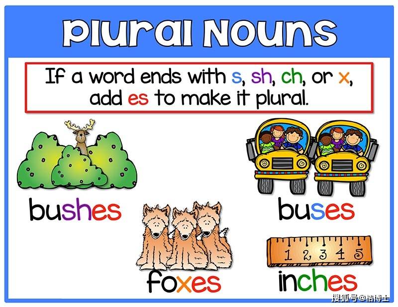 city-cities以辅音字母加o结尾,加es如hero-heroes,potato-potatoes以