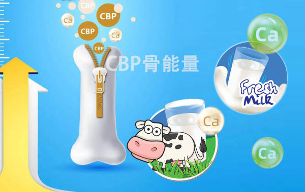 牛奶|从小白到达人，CBP初乳碱性蛋白12个热点问答