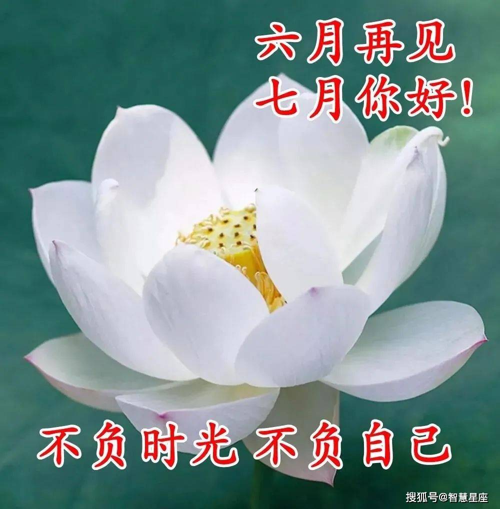 7月2日 清晨早上好问候祝福动态表情图片 朋友