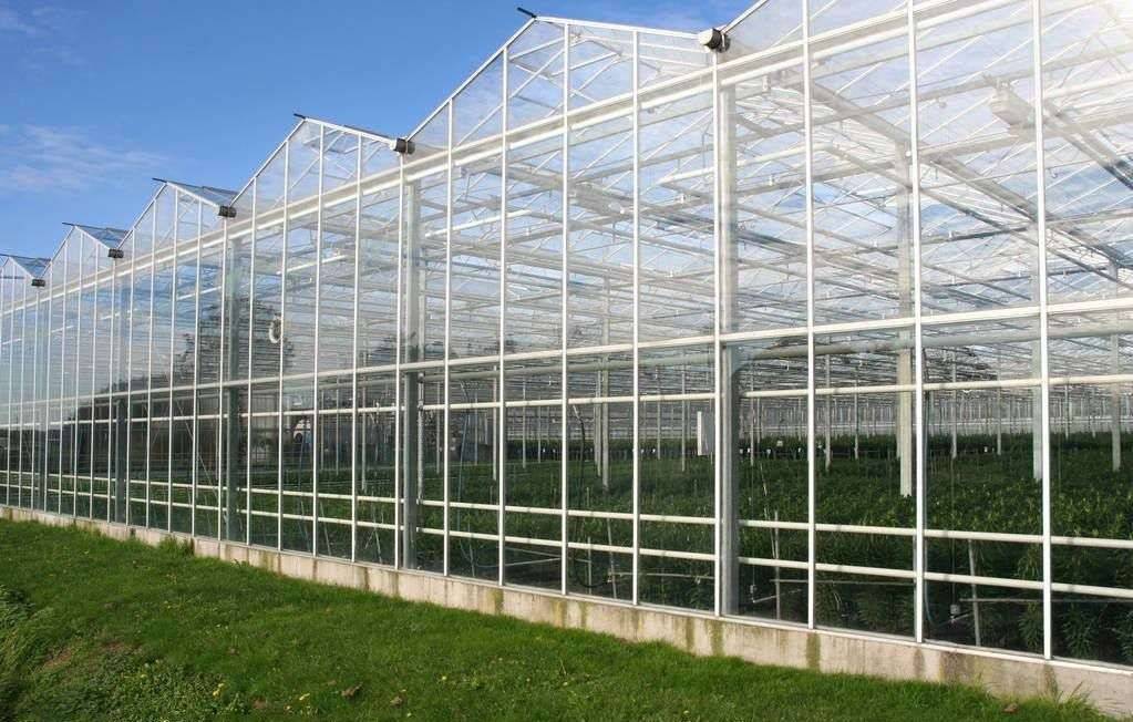 pc阳光板温室大棚的突然增加,原因是这个!_连栋