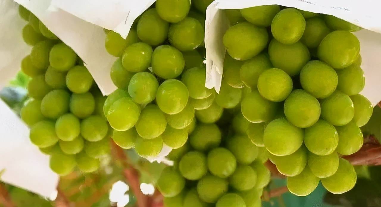 河源市|给你介绍一个避暑胜地，很适合暑期亲子游的“小”地方