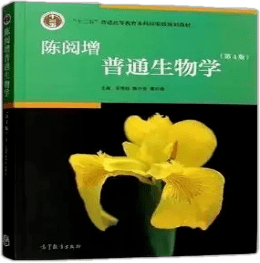 文章配图-4