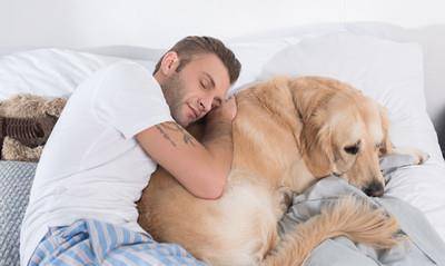 狗为啥喜欢挨着人睡 4e1b05ee51314d20a6f8237eff752359.jpeg