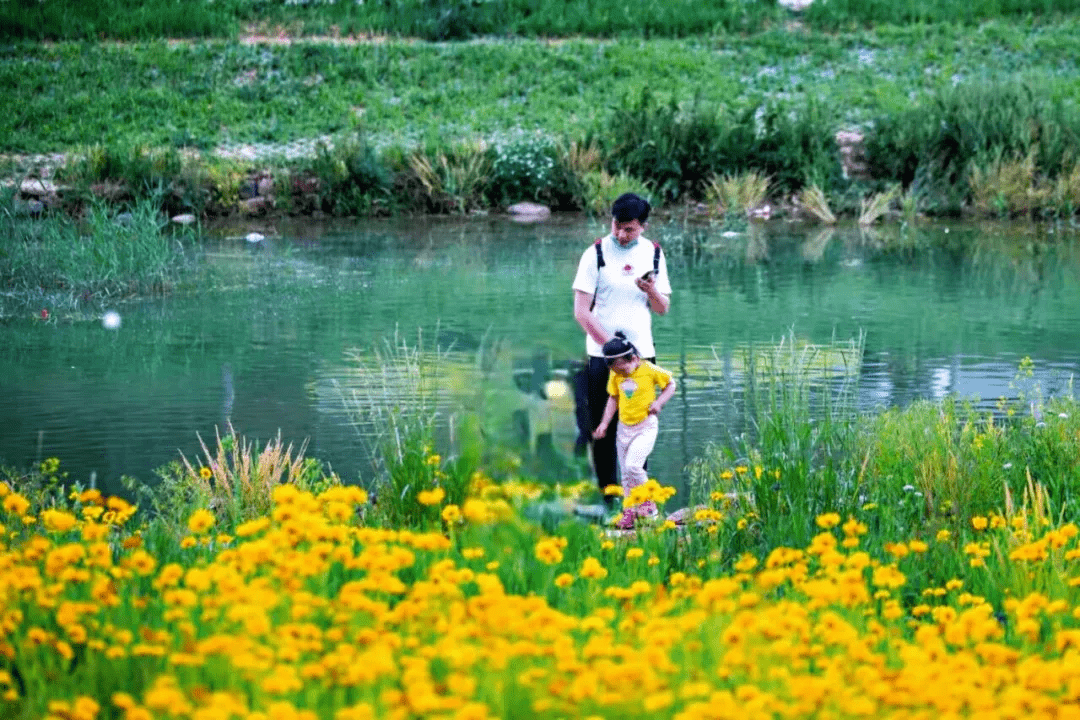 格桑梅朵|藏匿在市区的玩水纳凉好去处，野趣风光无限，仿佛置身画里！