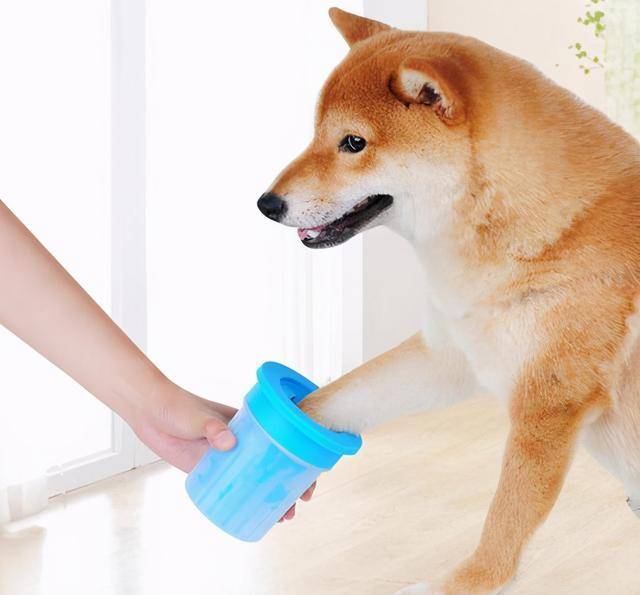 51d40f0a02fd495ea3dd4ca45c022ea6.jpeg