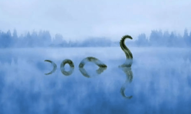 57fc72576d62441295a2413495776fcc.png