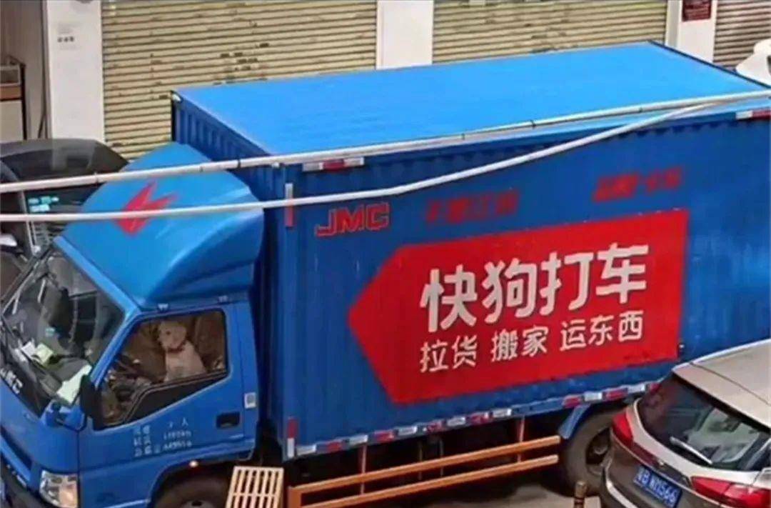 单子|到底是什么大单子，竟然惊动老板亲自出马？狗狗：请叫我董事长！