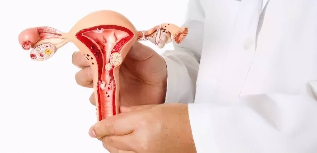 女性有两个卵巢为何每月只有一侧在排卵