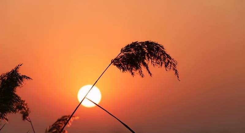 怎么样放下一个人去改变自己 6ad05b64459b45a9972bb973c195a220.jpeg