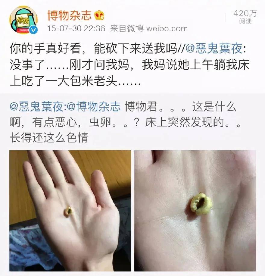 博物君张辰亮老婆图片