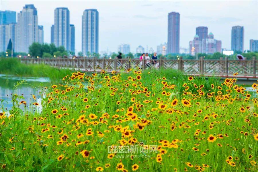 百晓生今日小暑丨冰城刚刚入夏体感凉爽中雨过后还会更凉爽 太阳城论坛 Www Com 118图库彩图118 Www Com Www Com 澳门码今晚开奖现场 Www 3608 Com 1726 Com 澳门六合开奖现场 澳门必中三肖三码