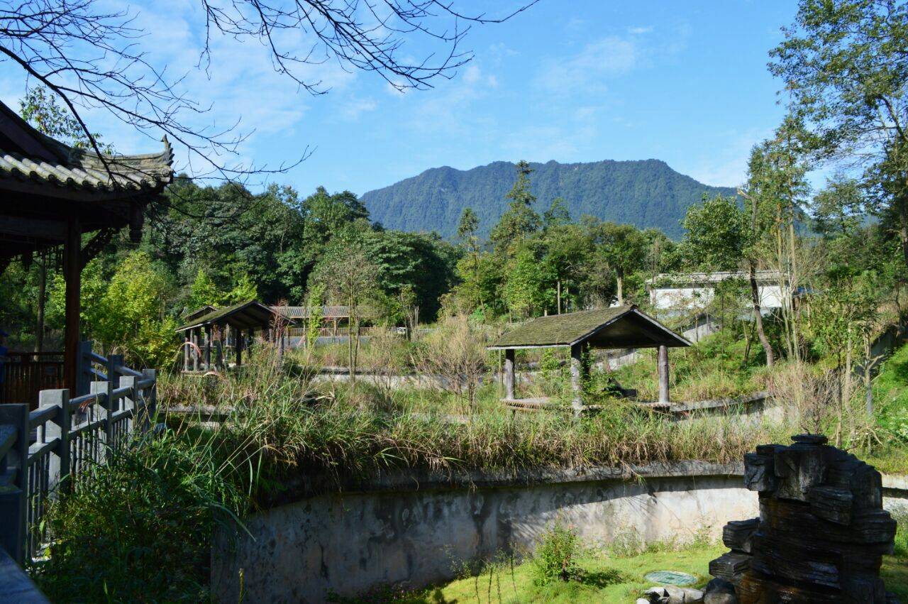 这里还有天然盆景,滴水栈道和雅女园等多个景点分布,这些美景各有特点