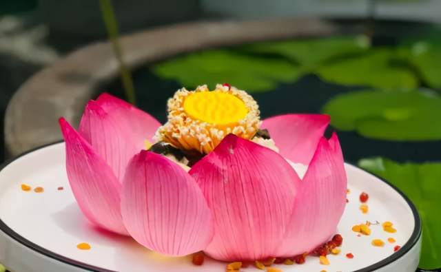 阜阳全城寻找"荷花仙子"为乡村旅游助力