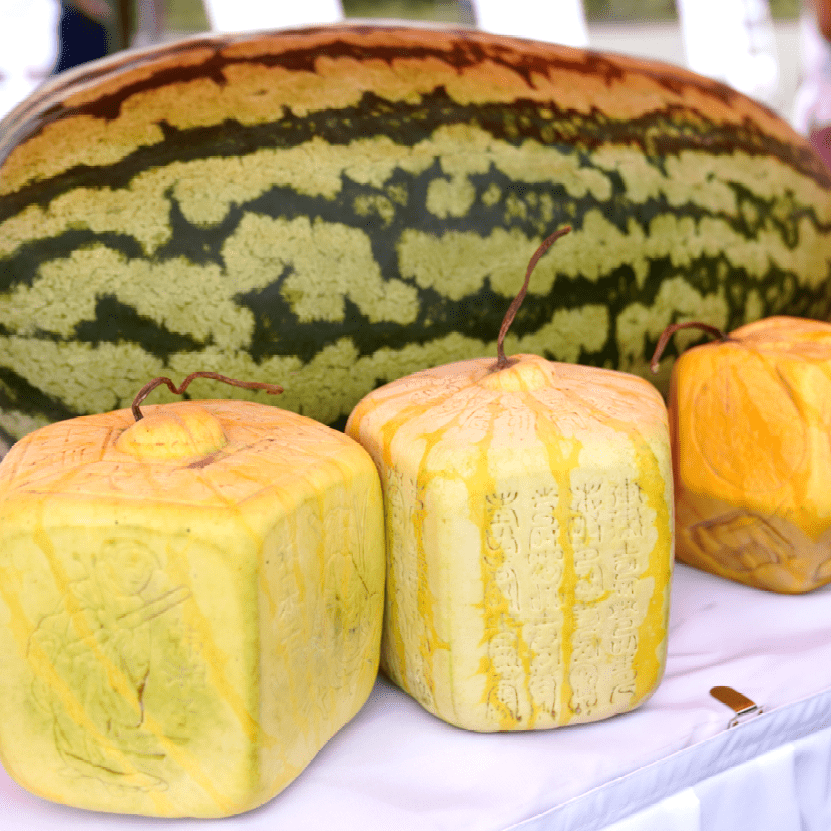 乐享妫川清凉一夏延庆西瓜品牌发布暨首届西瓜季在香营乡举行