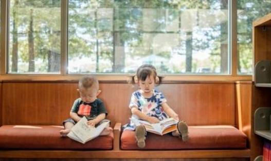 什么|二胎最好组合是姐弟？盘点弟弟对姐姐影响多大，看完评论扎心了