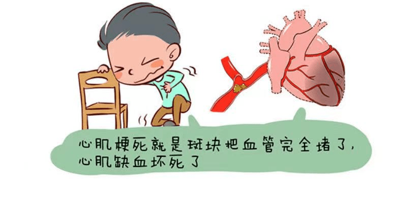 血管|【护心宝典6】什么是冠心病？