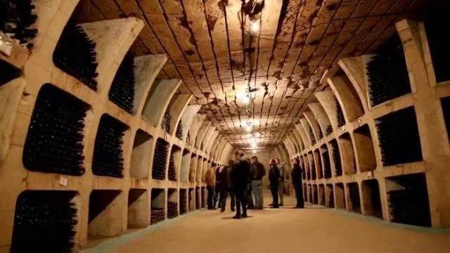 Vol|【齐韵国际葡萄酒】全网最全的葡萄酒界吉尼斯纪录大盘点