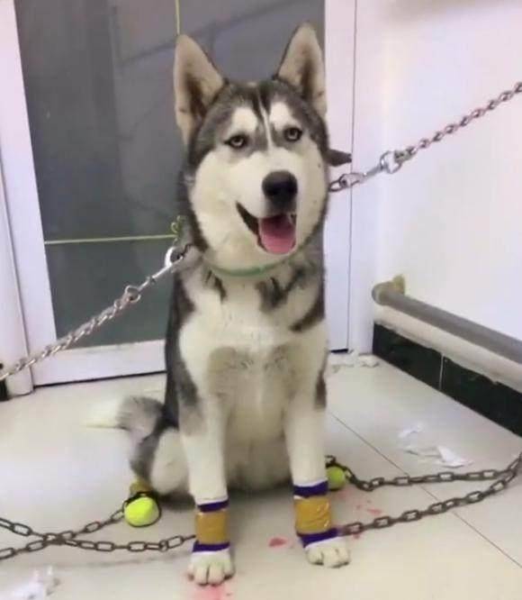 观点评论|不知道这6根铁链能否锁住这妖兽，网友：金刚伏魔锁妖大阵？