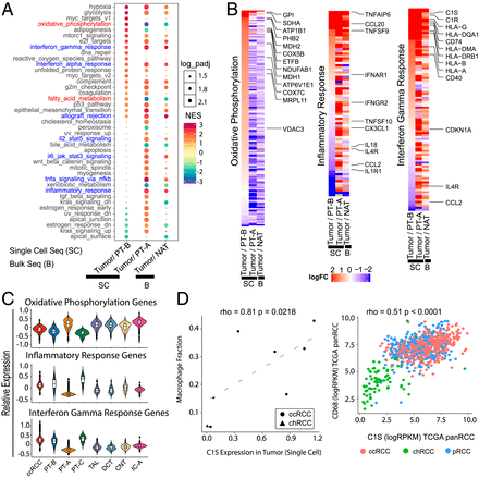 亚型|单细胞测序最新研究进展(2021年7月）