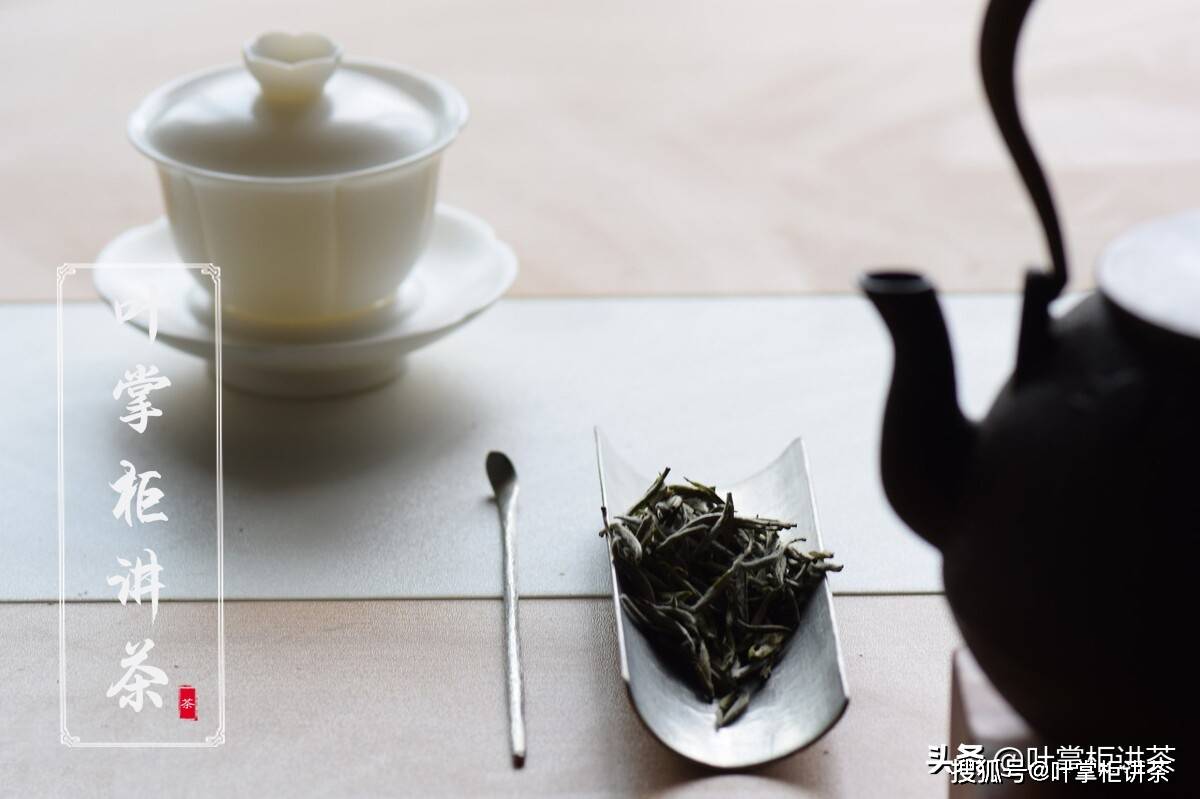 因为|白茶寿眉是什么茶?喝寿眉茶有什么好处?