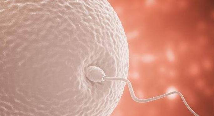 什么是黄体酮有什么作用 7ec014a87a46488d898aabc4404cda7e.jpeg