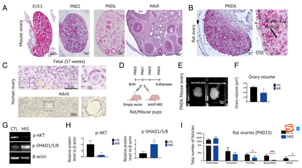 亚型|单细胞测序最新研究进展(2021年7月）