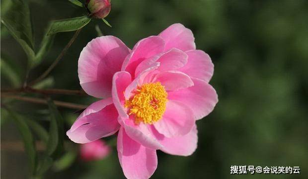 9月19日星座运势攻守俱佳的四大星座 工作