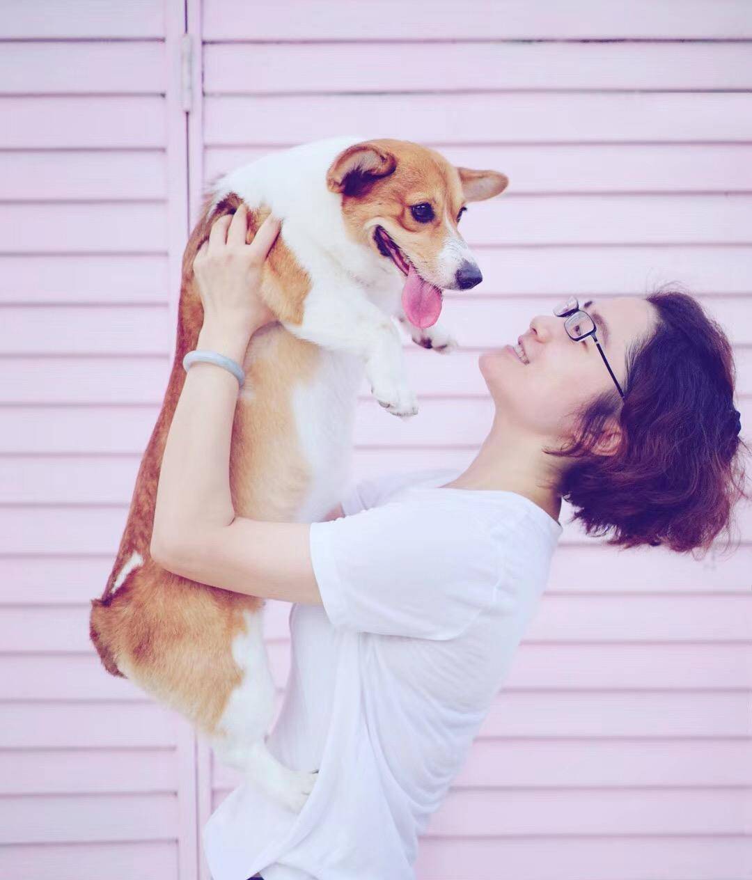 观点评论|ins风宠物写真，养这么多柯基，啥家庭啊家里有矿啊