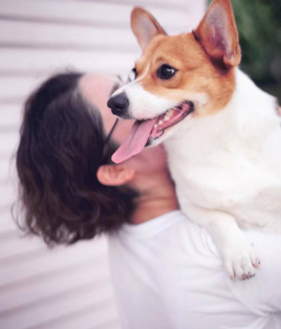 观点评论|ins风宠物写真，养这么多柯基，啥家庭啊家里有矿啊